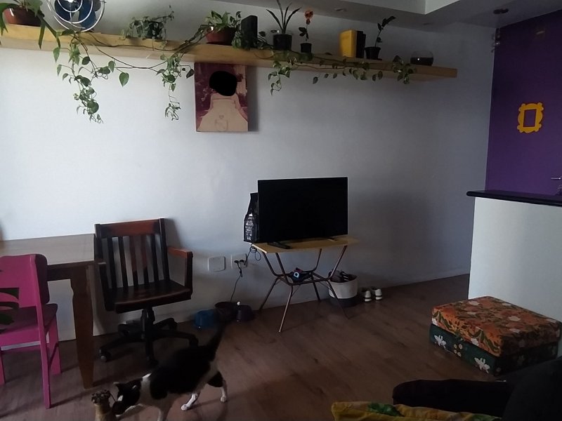 Apartamento à venda Bom Retiro com 63m² e 3 quartos por R$ 390.000 - 311905333-img-20220513-104810.jpg