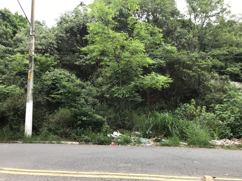 Terreno à venda Parque Munhoz com 1722m² e 1 quarto por R$ 550.000 - img-6600.jpeg