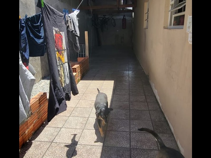 Casa à venda Jardim Iporanga com 393m² e 4 quartos por R$ 800.000 - 2009744108-whatsapp-image-2021-11-29-at-12.jpeg