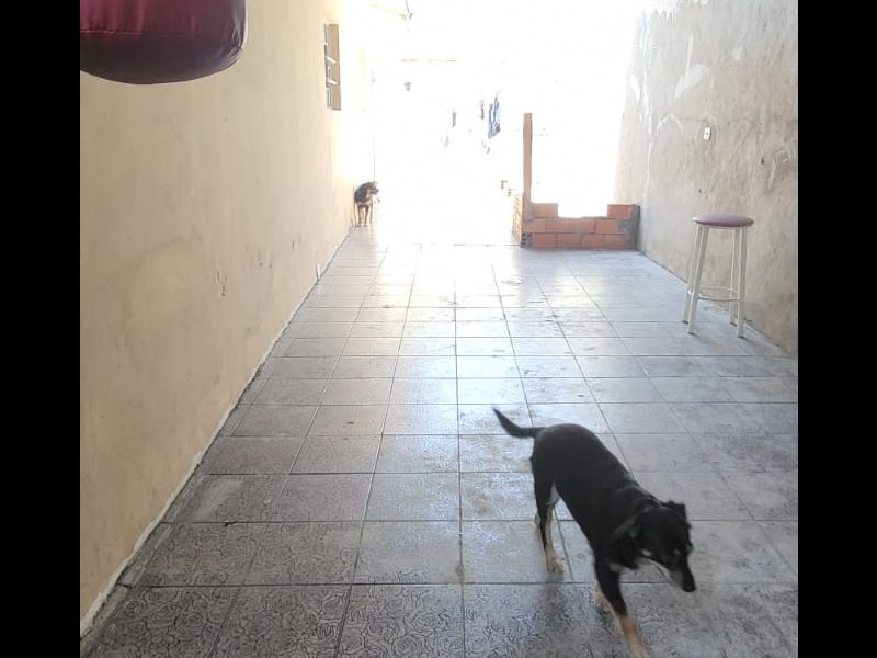 Casa à venda Jardim Iporanga com 393m² e 4 quartos por R$ 800.000 - 297008747-whatsapp-image-2021-11-29-at-12.jpeg