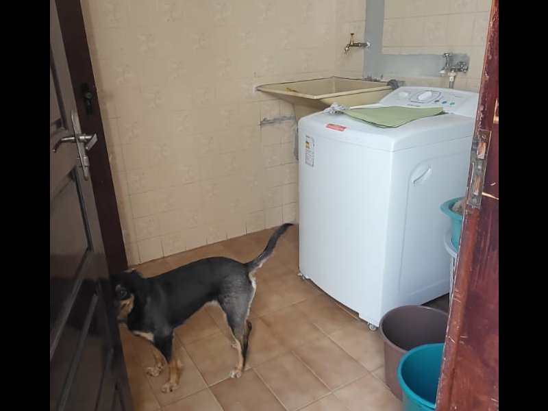 Casa à venda Jardim Iporanga com 393m² e 4 quartos por R$ 800.000 - 448930520-whatsapp-image-2021-11-29-at-12.jpeg