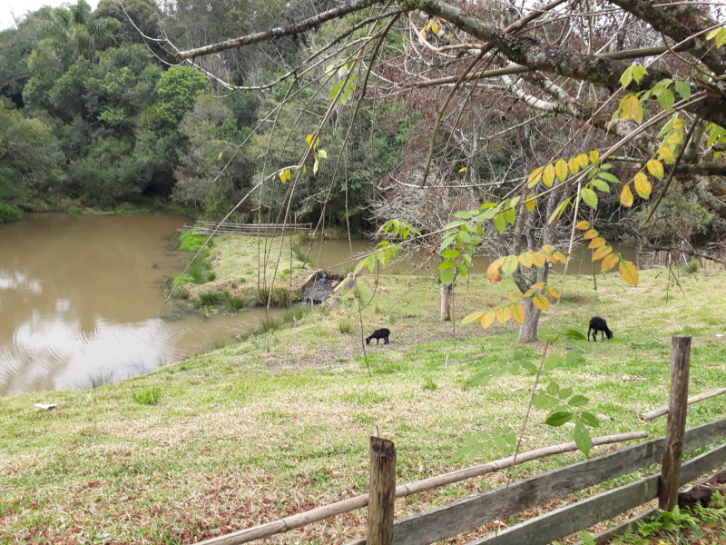 Chácara à venda Centro com 12000m² e 4 quartos por R$ 590.000 - 789134733-ch1.jpg
