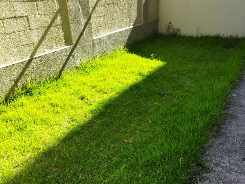 Apartamento à venda Campo Grande com 73m² e 2 quartos por R$ 250.000 - 2017634850-img-20220206-083318.jpg