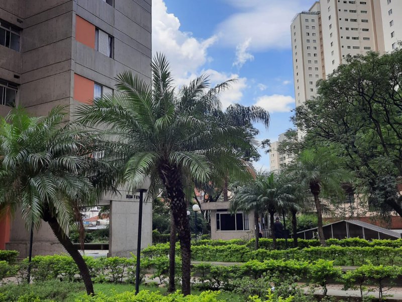 Apartamento à venda Freguesia do Ó com 84m² e 3 quartos por R$ 500.000 - 1039915747-img-20220316-wa0019.jpg