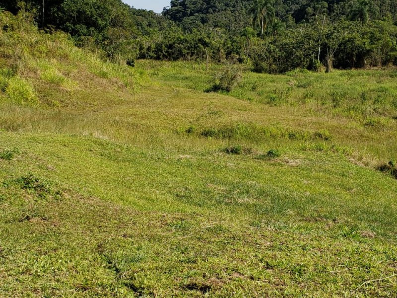 Sítio à venda Muchila com 294000m² e 1 quarto por R$ 820.000 - 177767107-2.jpeg