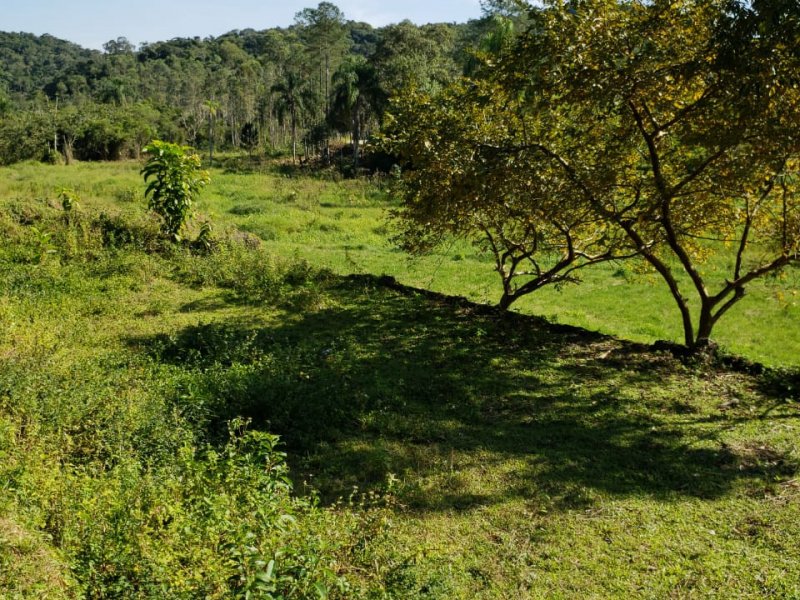 Sítio à venda Muchila com 294000m² e 1 quarto por R$ 820.000 - 2052394219-1.jpeg