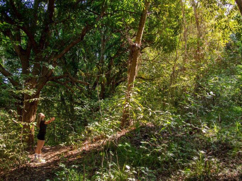 Casa de condomínio à venda Liberdade com 65m² e 2 quartos por R$ 190.000 - 1969101934-prancheta-21.jpg