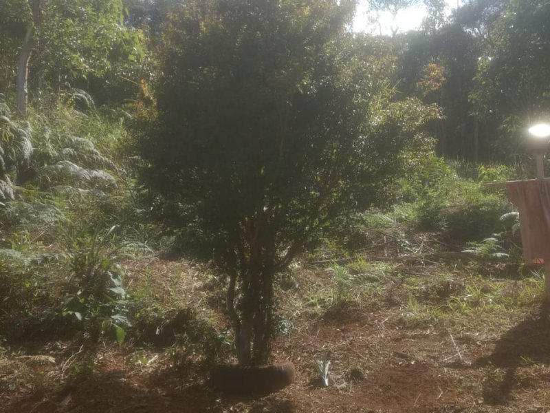 Sítio à venda Centro com 8000m² e 3 quartos por R$ 490.000 - 597690767-whatsapp-image-2022-05-24-at-17.jpeg