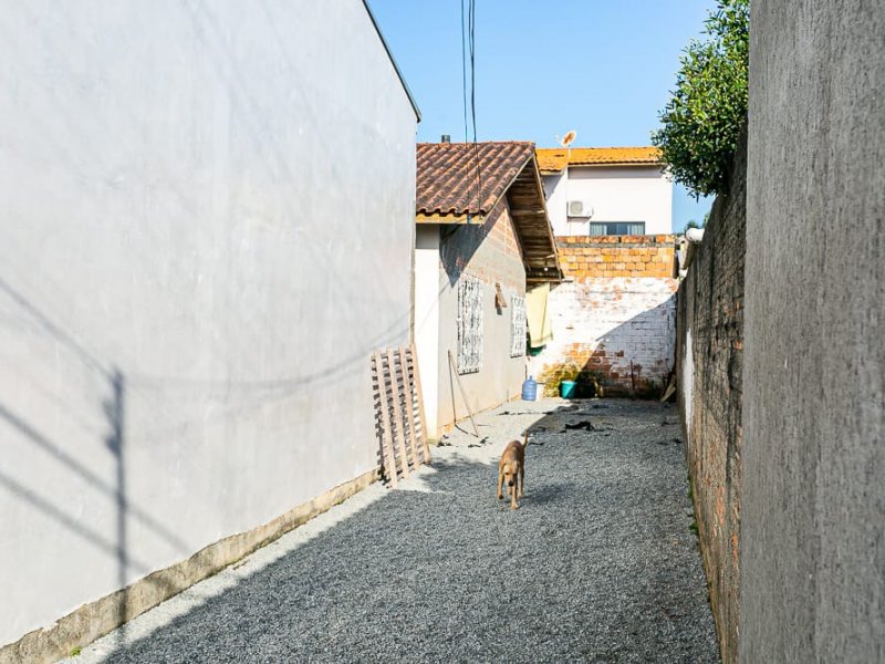 Casa à venda Brejarú com 92m² e 4 quartos por R$ 380 - 767127995-285c47ff-1722-4ad0-8a40-c963989d106a.jpeg