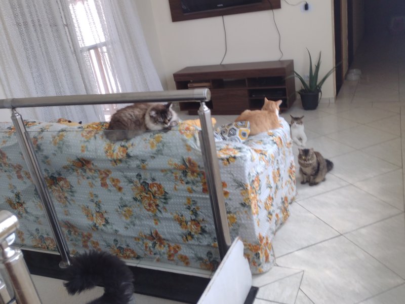 Casa à venda Centro com 160m² e 4 quartos por R$ 520.000 - 380378905-img-20211204-135619610.jpg