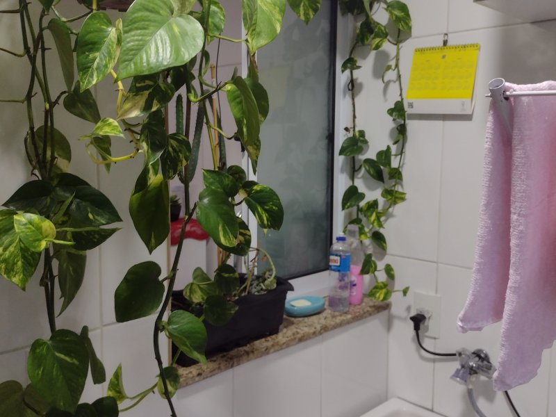 Apartamento à venda Serraria com 58m² e 1 quarto por R$ 250.000 - 1148594210-img-20220111-185210795.jpg