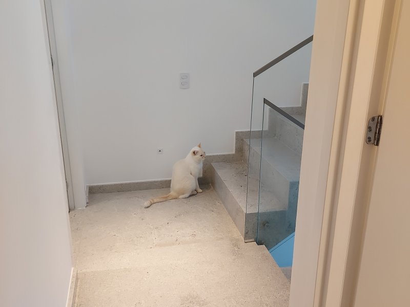 Casa de condomínio à venda Granja Viana com 169m² e 3 quartos por R$ 1.650.000 - 1958963889-20220608-161438.jpg