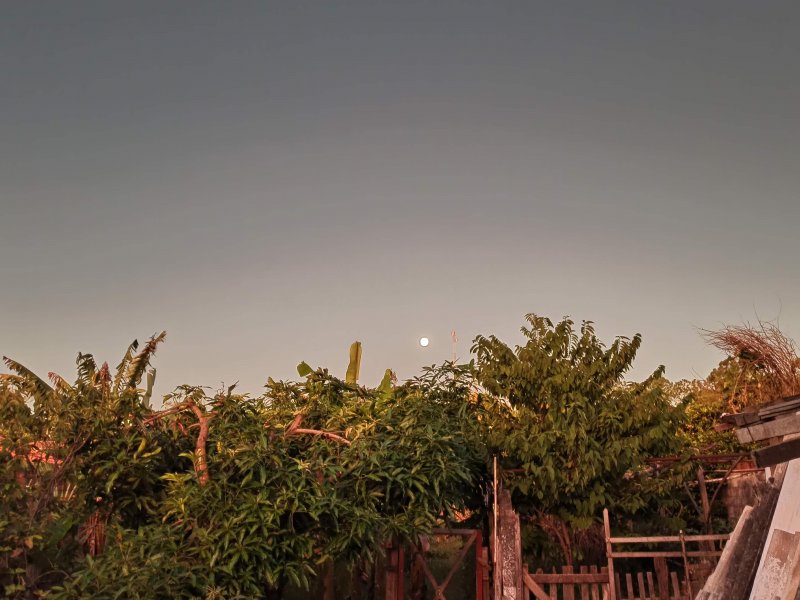 Chácara à venda Jardim Novo Horizonte com 1630m² e 3 quartos por R$ 500.000 - 1279258073-img-20220415-181630.jpg