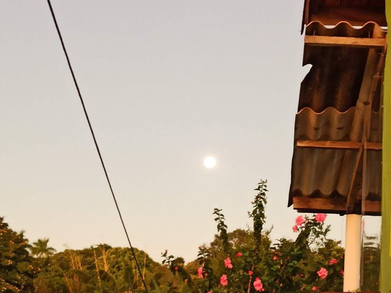 Chácara à venda Jardim Novo Horizonte com 1630m² e 3 quartos por R$ 500.000 - 567892044-img-20220415-181326.jpg