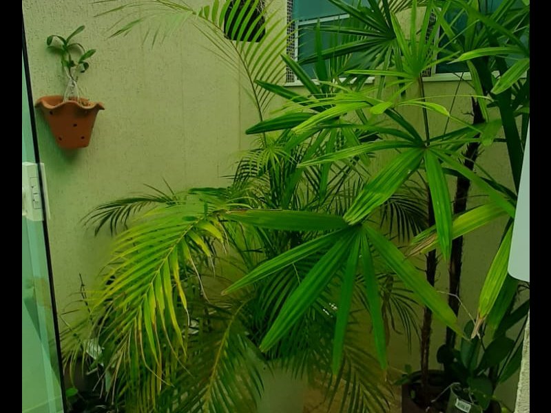 Casa à venda Fábricas com 620m² e 3 quartos por R$ 780.000 - 1902054982-whatsapp-image-2022-06-16-at-14.jpeg