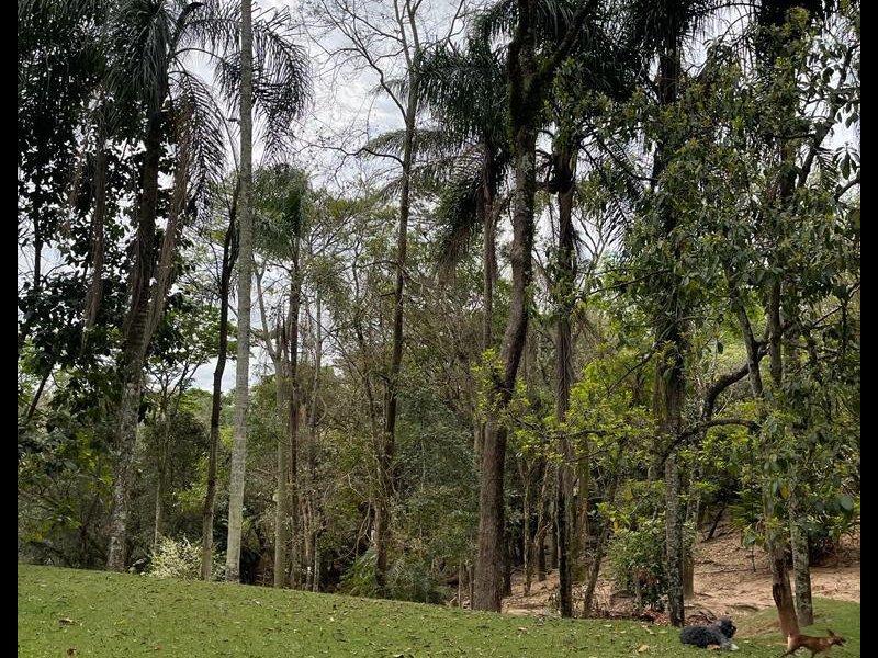 Chácara à venda Centro com 4470m² e 4 quartos por R$ 650.000 - 1783408362-11a6783c-bd20-4ef3-9baa-b95a4eec5ac6.jpeg