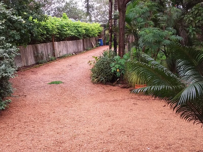 Chácara à venda Parque das Andorinhas com 1500m² e 3 quartos por R$ 600.000 - 1294562336-11.jpg