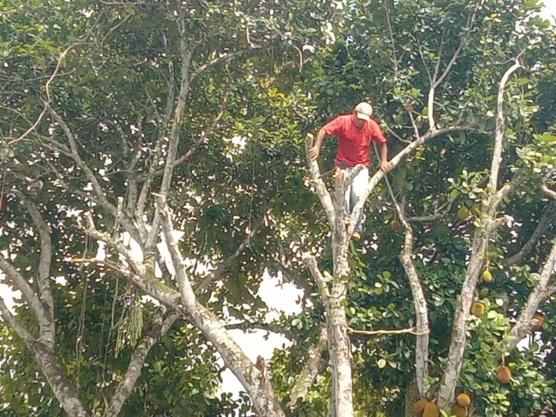 Chácara à venda Aldeia dos Camarás com 13000m² e 8 quartos por R$ 2.000.000 - 1211044053-a373ae26-2707-441b-b521-1a84a15961cb.jpg