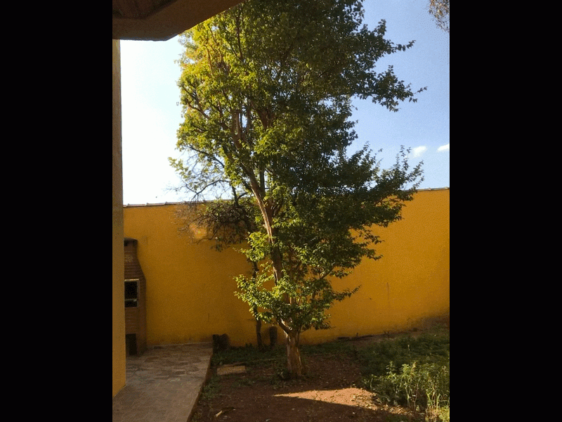 Casa à venda Quitaúna com 253m² e 4 quartos por R$ 920.000 - 1965424625-img-7797.GIF