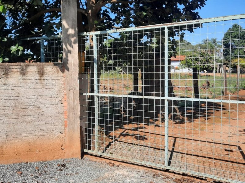 Chácara à venda Centro com 3650m² e 3 quartos por R$ 700.000 - 1142710713-whatsapp-image-2022-06-24-at-08.jpeg