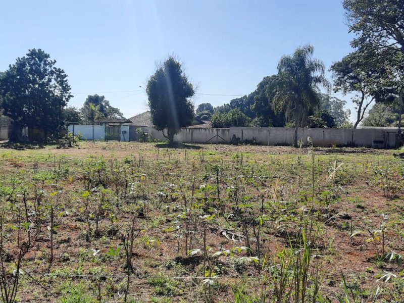 Chácara à venda Centro com 3650m² e 3 quartos por R$ 700.000 - 1182469993-whatsapp-image-2022-06-24-at-08.jpeg