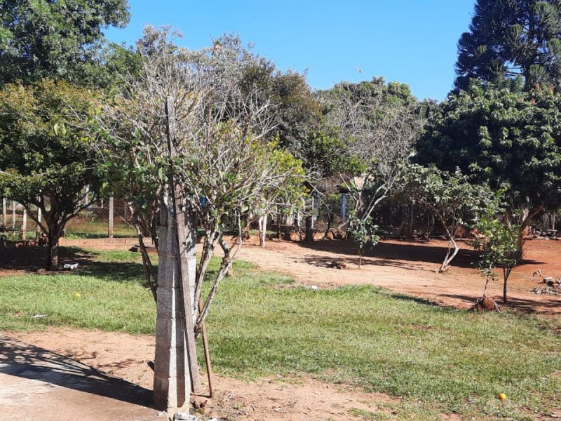 Chácara à venda Centro com 3650m² e 3 quartos por R$ 700.000 - 1230526468-whatsapp-image-2022-06-24-at-08.jpeg