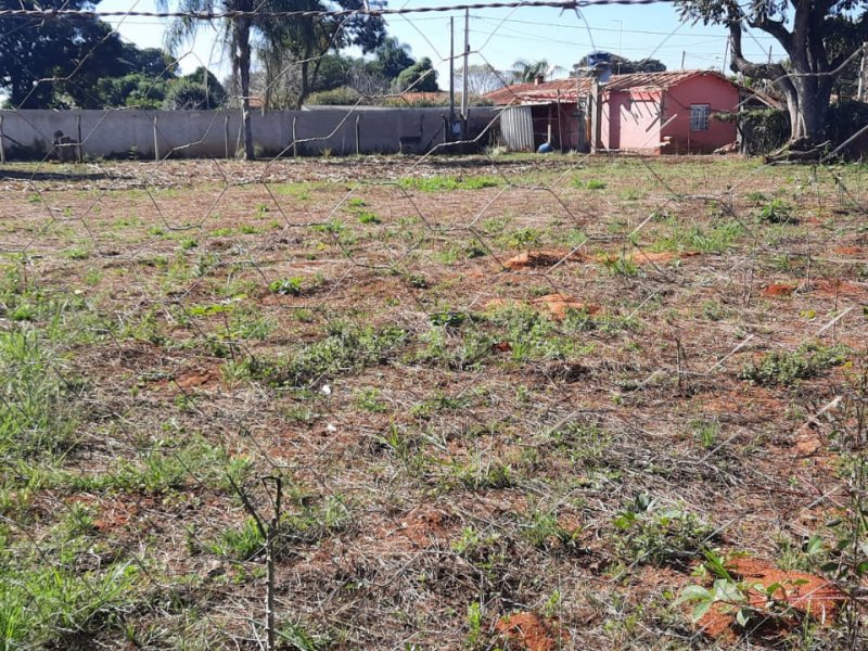 Chácara à venda Centro com 3650m² e 3 quartos por R$ 700.000 - 1734694116-whatsapp-image-2022-06-24-at-08.jpeg