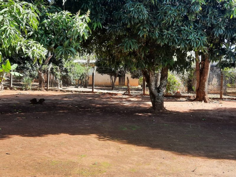 Chácara à venda Centro com 3650m² e 3 quartos por R$ 700.000 - 2098779349-whatsapp-image-2022-06-24-at-08.jpeg