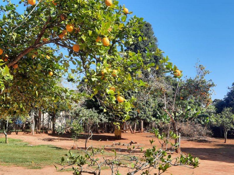 Chácara à venda Centro com 3650m² e 3 quartos por R$ 700.000 - 455232003-whatsapp-image-2022-06-24-at-08.jpeg