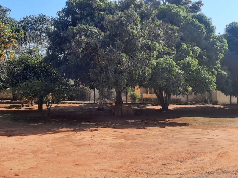 Chácara à venda Centro com 3650m² e 3 quartos por R$ 700.000 - 491457191-whatsapp-image-2022-06-24-at-08.jpeg