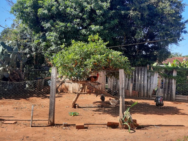 Chácara à venda Centro com 3650m² e 3 quartos por R$ 700.000 - 517135813-whatsapp-image-2022-06-24-at-08.jpeg