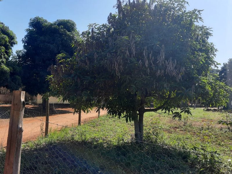 Chácara à venda Centro com 3650m² e 3 quartos por R$ 700.000 - 69550786-whatsapp-image-2022-06-24-at-08.jpeg