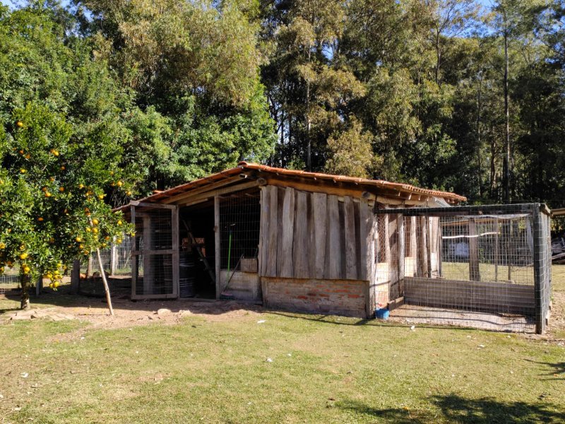 Sítio à venda Jardim América com 5000m² e 5 quartos por R$ 780.000 - 1007504834-16.jpeg