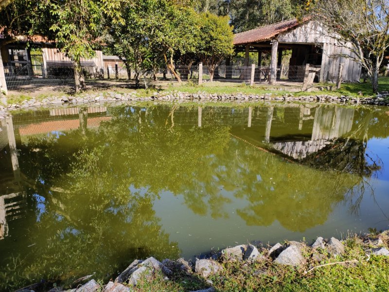 Sítio à venda Jardim América com 5000m² e 5 quartos por R$ 780.000 - 1444140611-12.jpeg