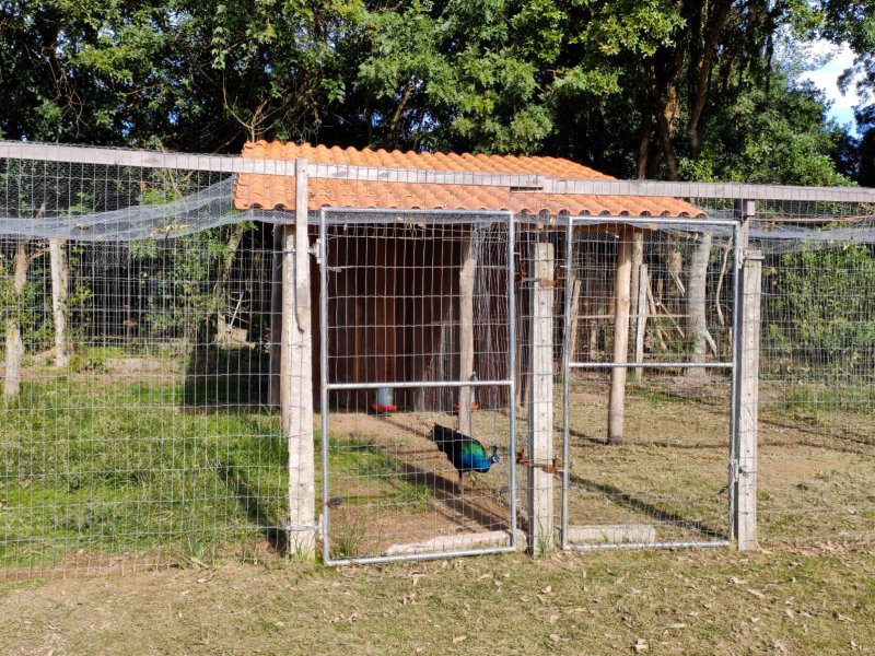 Sítio à venda Jardim América com 5000m² e 5 quartos por R$ 780.000 - 1687044054-17.jpeg