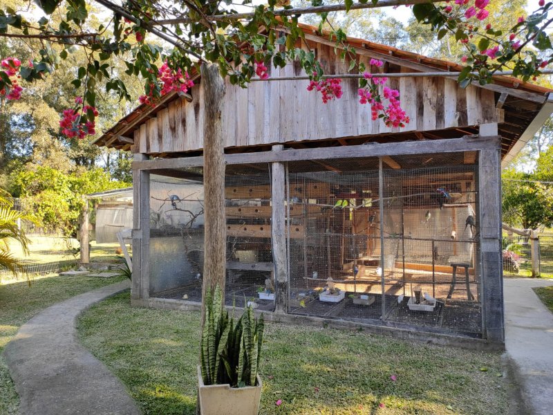 Sítio à venda Jardim América com 5000m² e 5 quartos por R$ 780.000 - 1689725137-14.jpeg