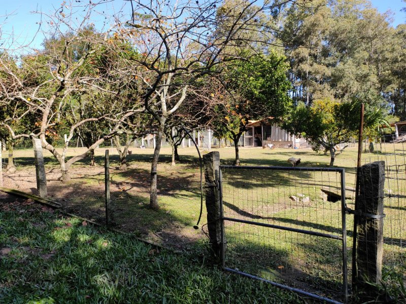 Sítio à venda Jardim América com 5000m² e 5 quartos por R$ 780.000 - 310553626-18a.jpeg