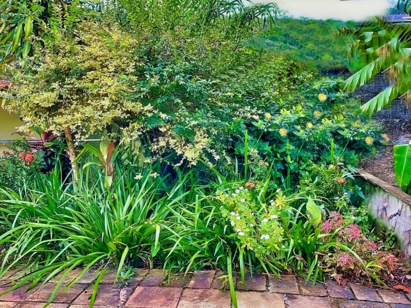 Casa à venda Pedra de Guaratiba com 1200m² e 4 quartos por R$ 550.000 - 32158787-6-jardim-piscina.jpg