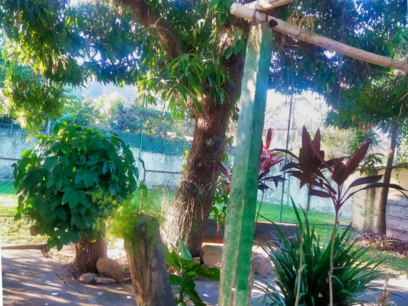 Casa à venda Pedra de Guaratiba com 1200m² e 4 quartos por R$ 550.000 - 42037310-15-quadra-de-volei.png