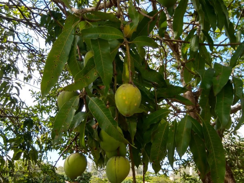 Casa de condomínio à venda Centro com 143m² e 3 quartos por R$ 400.000 - 457236334-whatsapp-image-2022-06-25-at-12.jpeg