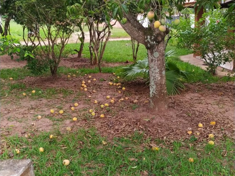 Casa de condomínio à venda Centro com 143m² e 3 quartos por R$ 400.000 - 975078628-quintal-com-mangas.jpg