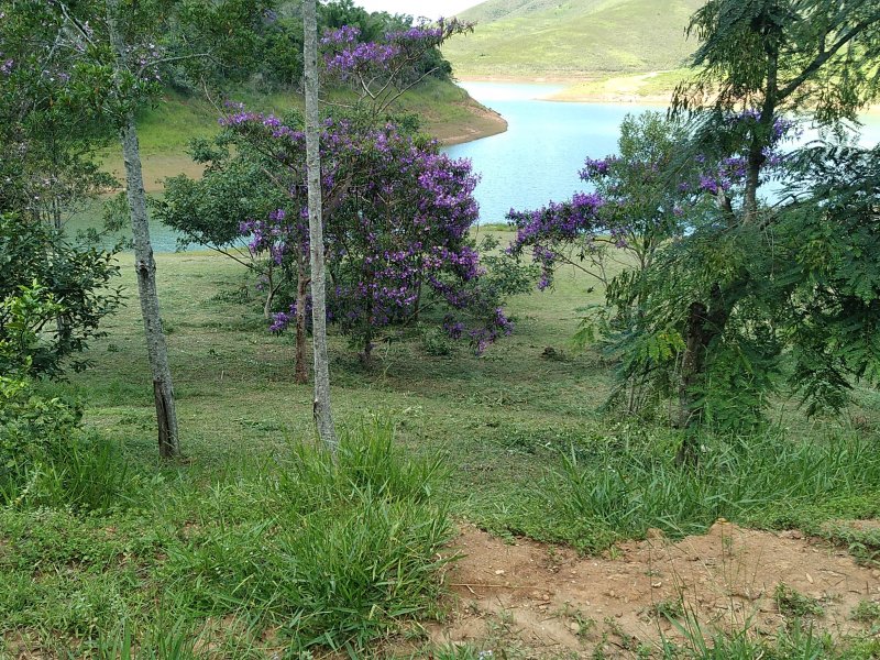 Sítio à venda Centro com 31000m² e 3 quartos por R$ 450.000 - 114069268-img-20220219-wa0014.jpeg