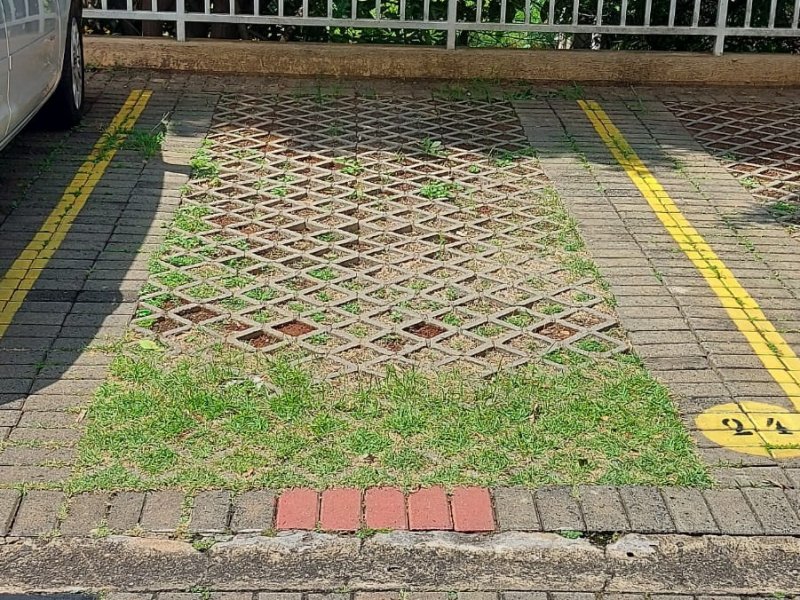 Apartamento à venda Vila Santa Catarina com 74m² e 2 quartos por R$ 350.000 - 11524078-whatsapp-image-2022-06-03-at-16.jpeg