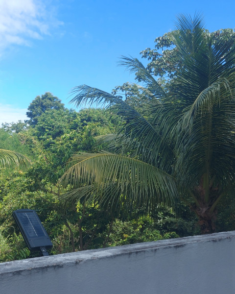 Apartamento à venda Capim Macio com 1000m² e 5 quartos por R$ 2.200.000 - 1307466778-20220529-135728.jpg