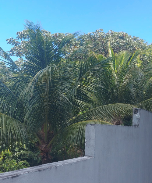 Apartamento à venda Capim Macio com 1000m² e 5 quartos por R$ 2.200.000 - 1352250080-20220529-135731.jpg