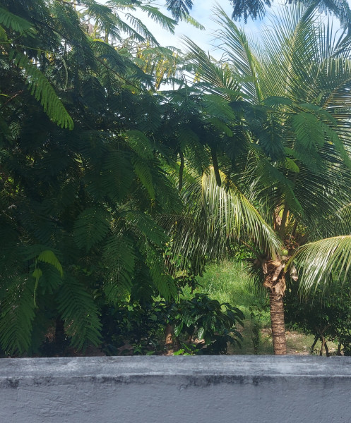 Apartamento à venda Capim Macio com 1000m² e 5 quartos por R$ 2.200.000 - 1516802490-20220529-135725.jpg