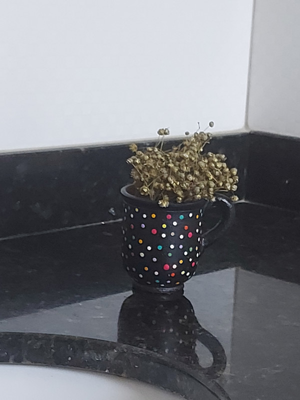 Apartamento à venda Capim Macio com 1000m² e 5 quartos por R$ 2.200.000 - 1826133396-20220501-141537.jpg