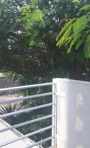 Apartamento à venda Capim Macio com 1000m² e 5 quartos por R$ 2.200.000 - 335813880-20220529-135722.jpg