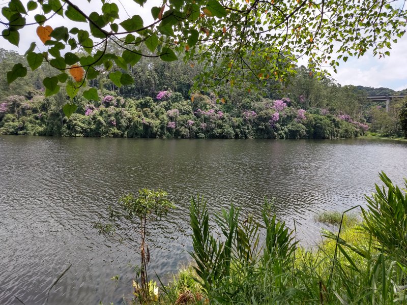 Casa à venda Montanhão com 80m² e 2 quartos por R$ 250.000 - 1155900144-img-20220213-113333862-hdr.jpg