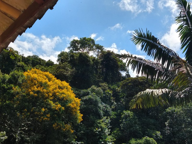 Casa à venda Montanhão com 80m² e 2 quartos por R$ 250.000 - 1314702847-img-20220322-122614093-hdr.jpg